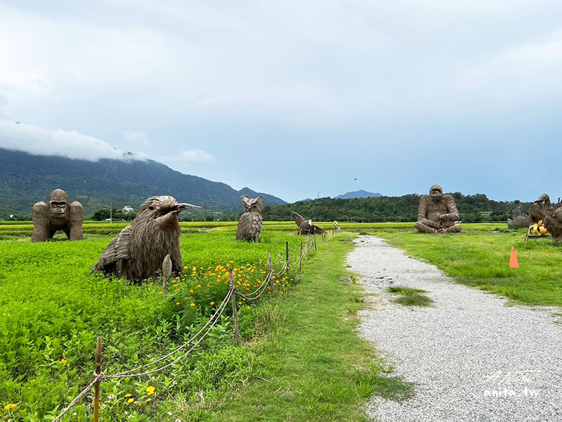 富里花海景觀區