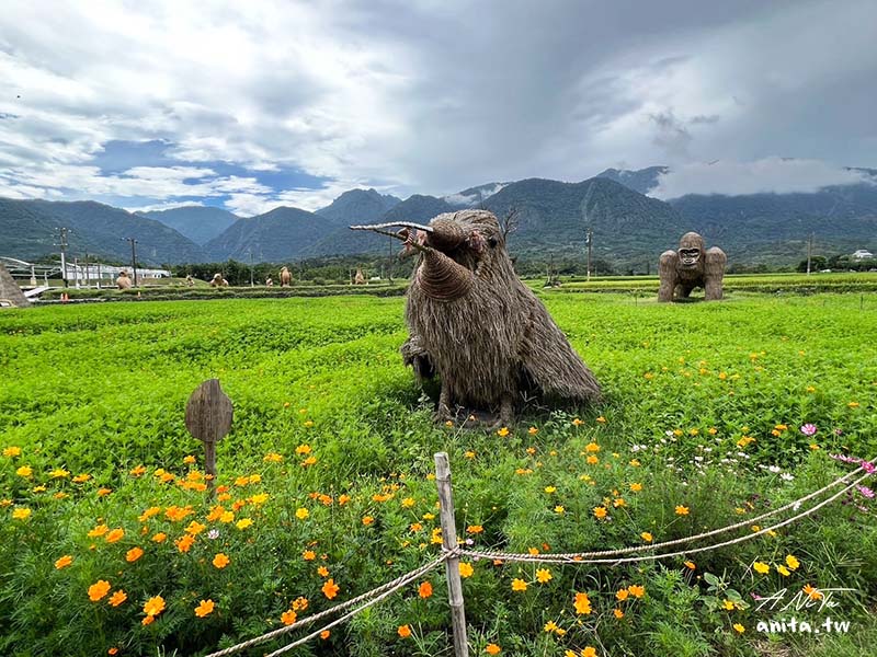 富里花海景觀區