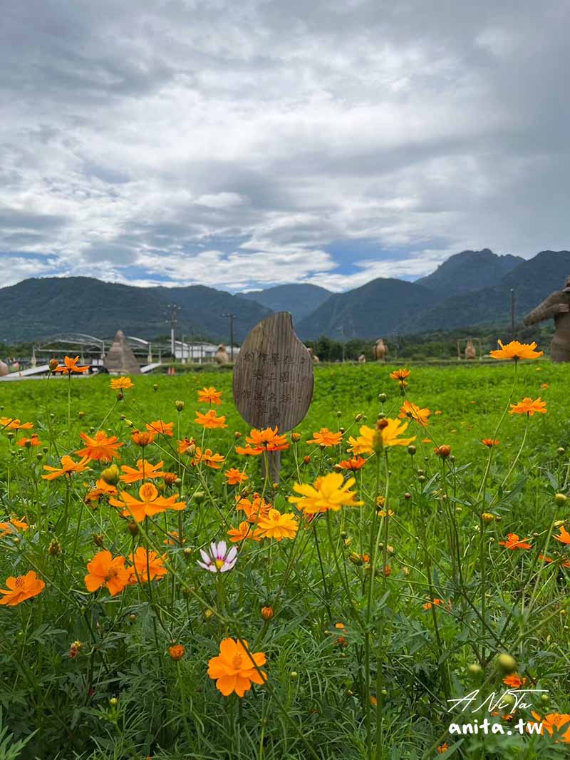 富里花海景觀區