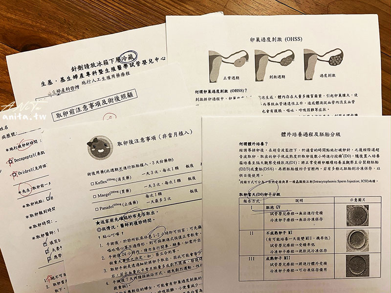 網站近期文章：試管嬰兒紀錄｜從打排卵針、破卵針到取卵（上）